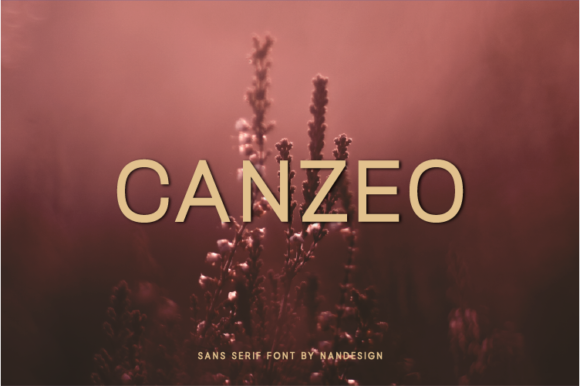 Canzeo: A Creative Font for Makers