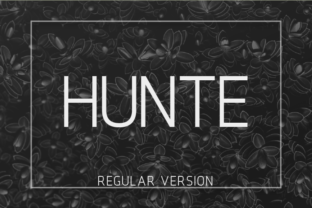 Hunte: A Clean Sans Serif for Campaign Design