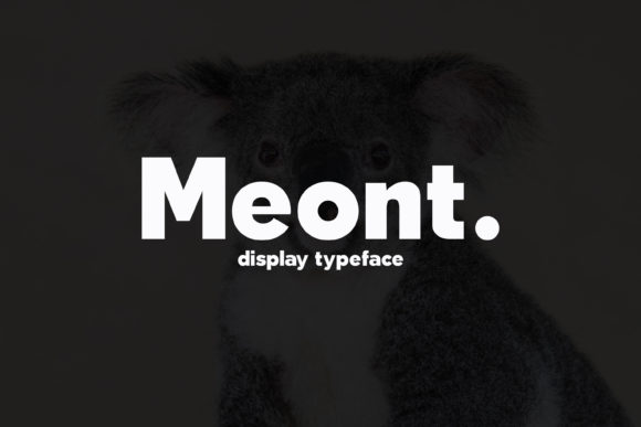 Meont: A Modern Sans Serif for Web Design